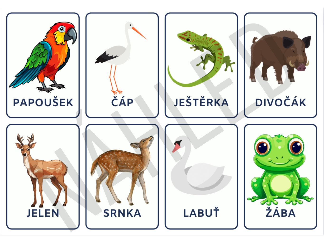Dětské kartičky se zvířátky s reálnými fotografiemi i ilustracemi