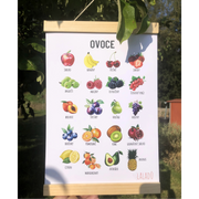 Dětský vzdělávací plakát Ovoce A4 s 20 obrázky a českými názvy
