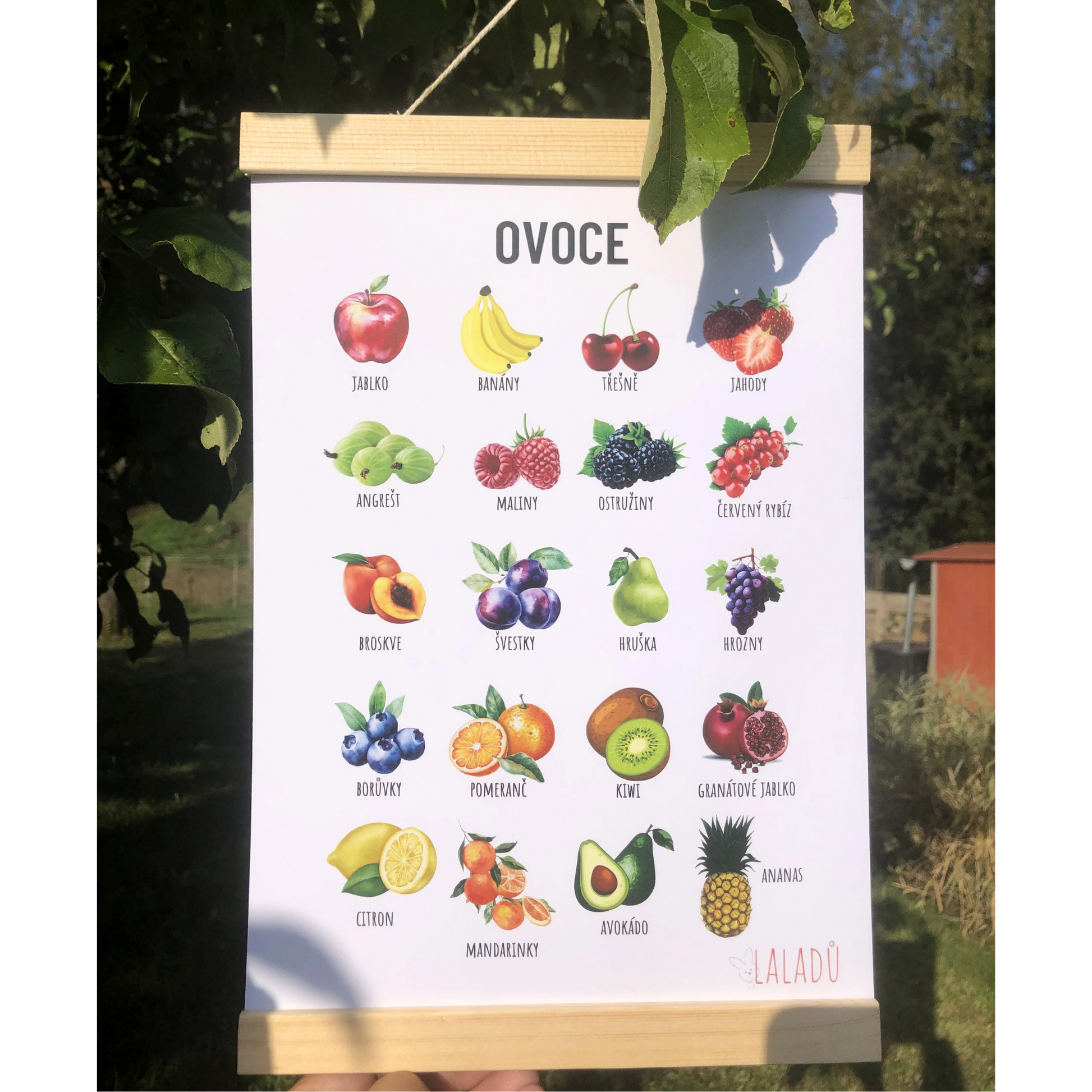 Dětský vzdělávací plakát Ovoce A4 s 20 obrázky a českými názvy
