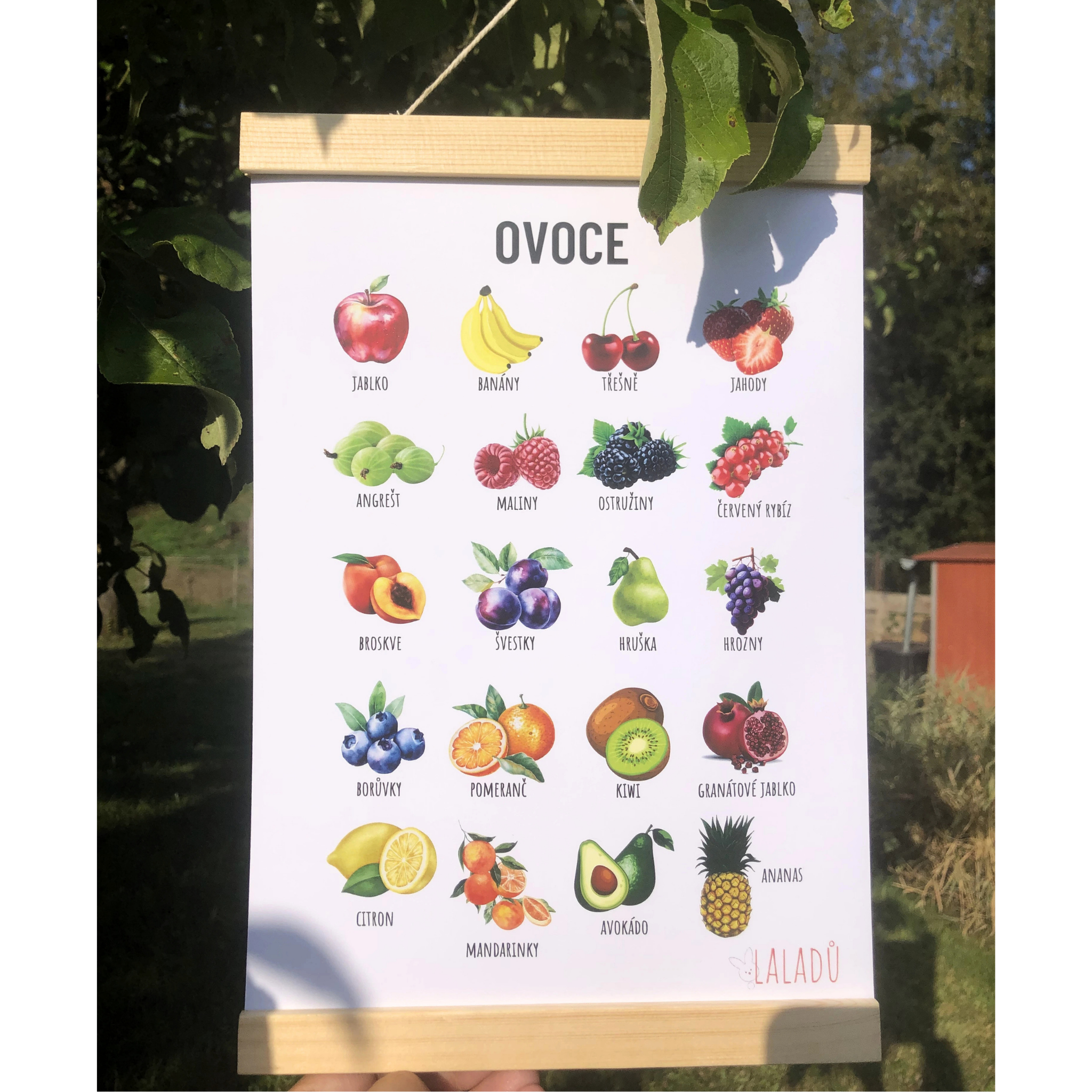 Dětský vzdělávací plakát Ovoce A4 s 20 obrázky a českými názvy
