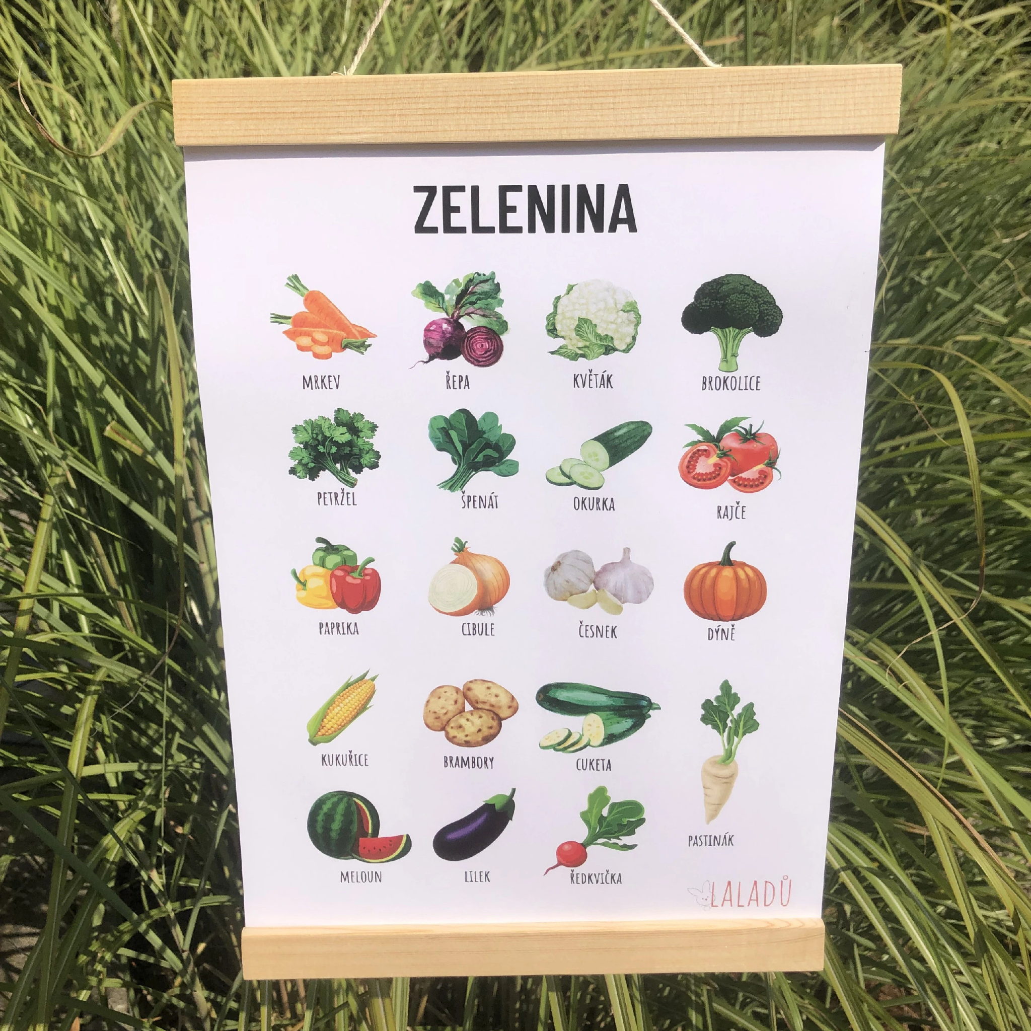 Dětský vzdělávací plakát Zelenina A4 s obrázky a českými názvy