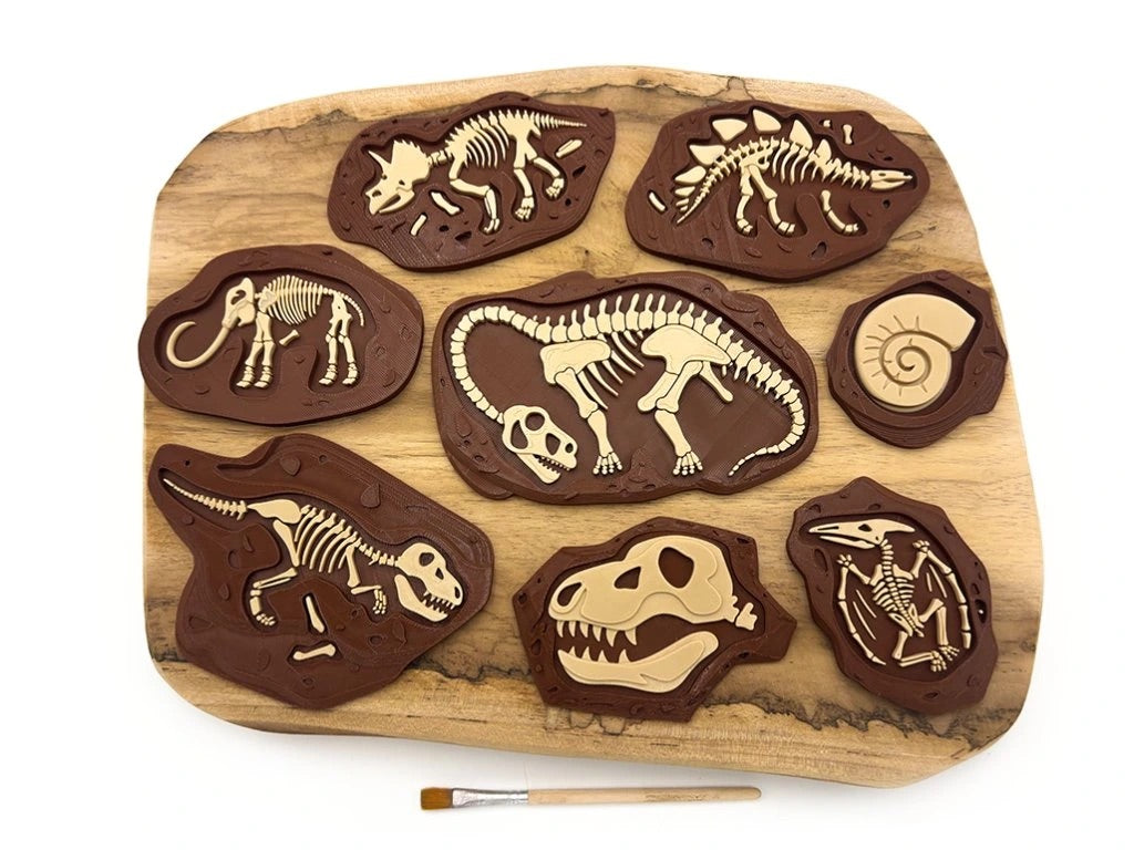 Dinosauří fosílie pro smyslové hraní – set kostí pravěkých zvířat do písku