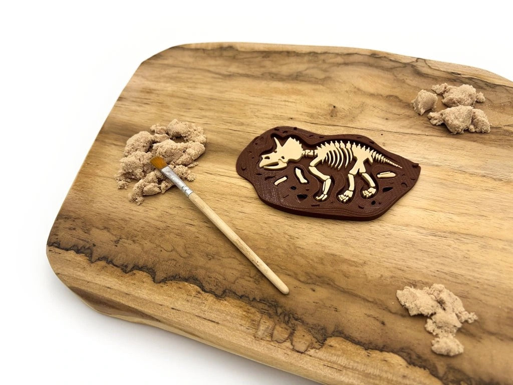 Fosílie triceratops – pravěká kostra pro dětské objevování