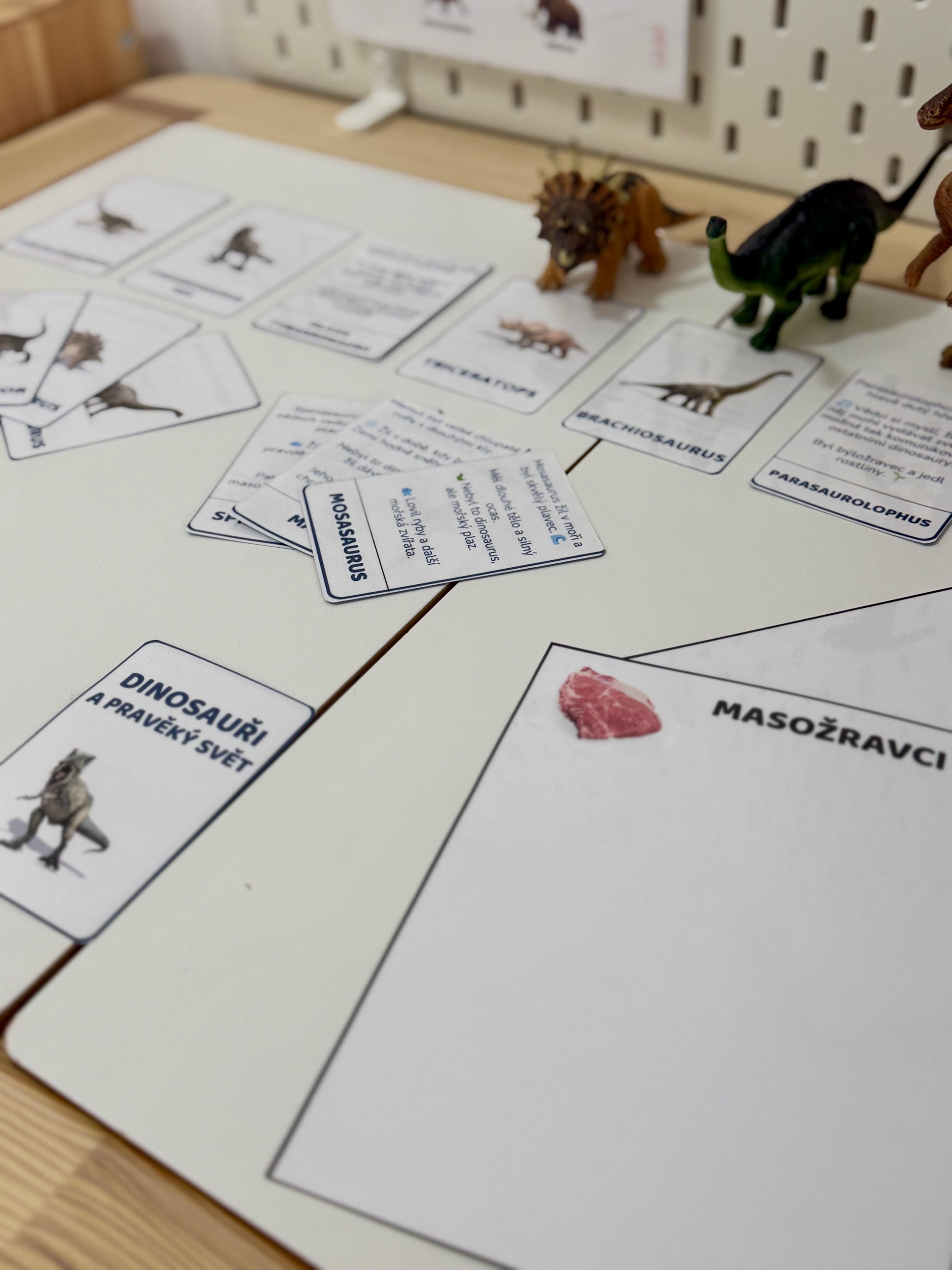 kartičky pro děti s dinosaury a pravěkými zvířaty
