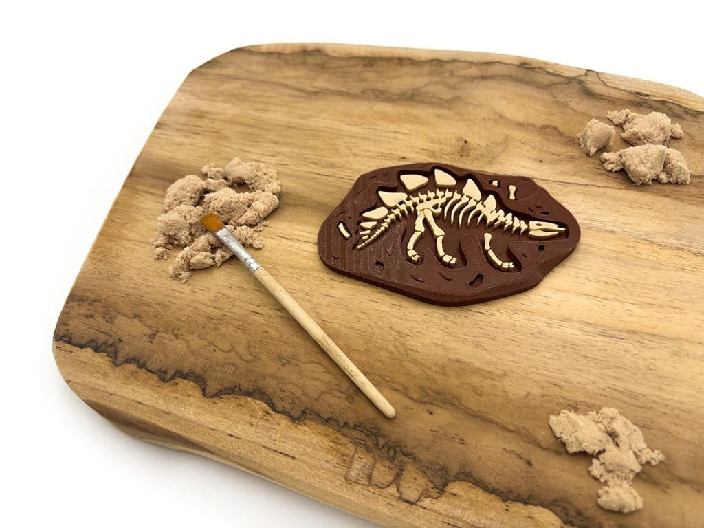 Fosílie stegosaurus – dinosaurus pro sensory play a archeologii